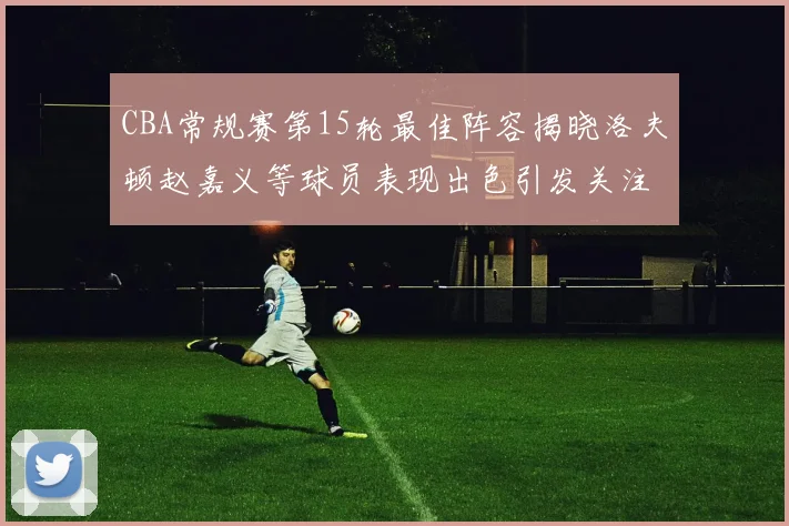 CBA常规赛第15轮最佳阵容揭晓洛夫顿赵嘉义等球员表现出色引发关注