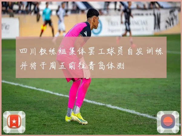 四川教练组集体罢工球员自发训练并将于周五前往青岛体测