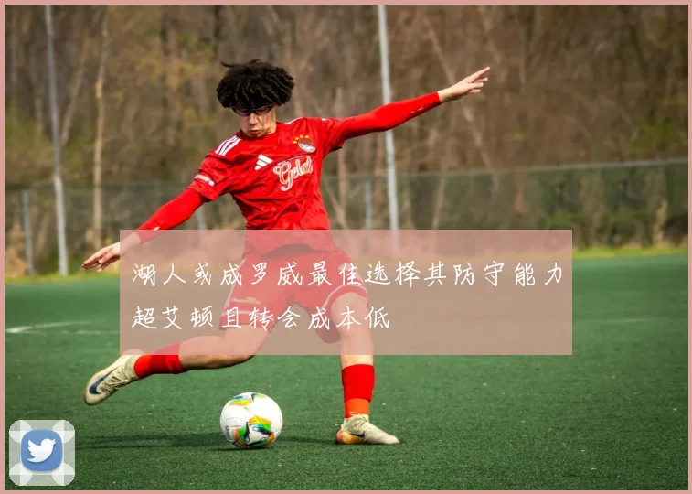 湖人或成罗威最佳选择其防守能力超艾顿且转会成本低