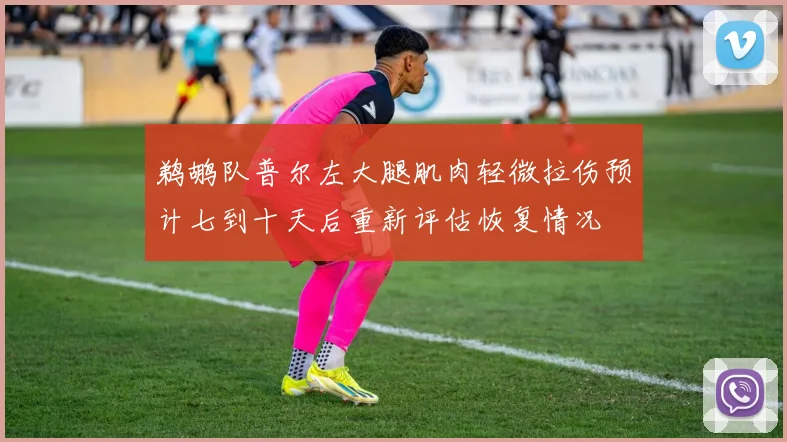鹈鹕队普尔左大腿肌肉轻微拉伤预计七到十天后重新评估恢复情况