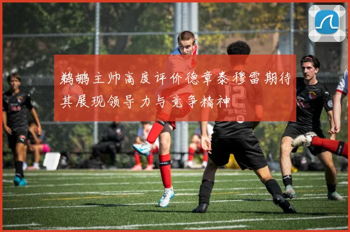 鹈鹕主帅高度评价德章泰穆雷期待其展现领导力与竞争精神